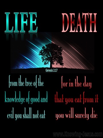 Genesis 2:17 Tree Of Knowledge Of Good And Evil (aqua)